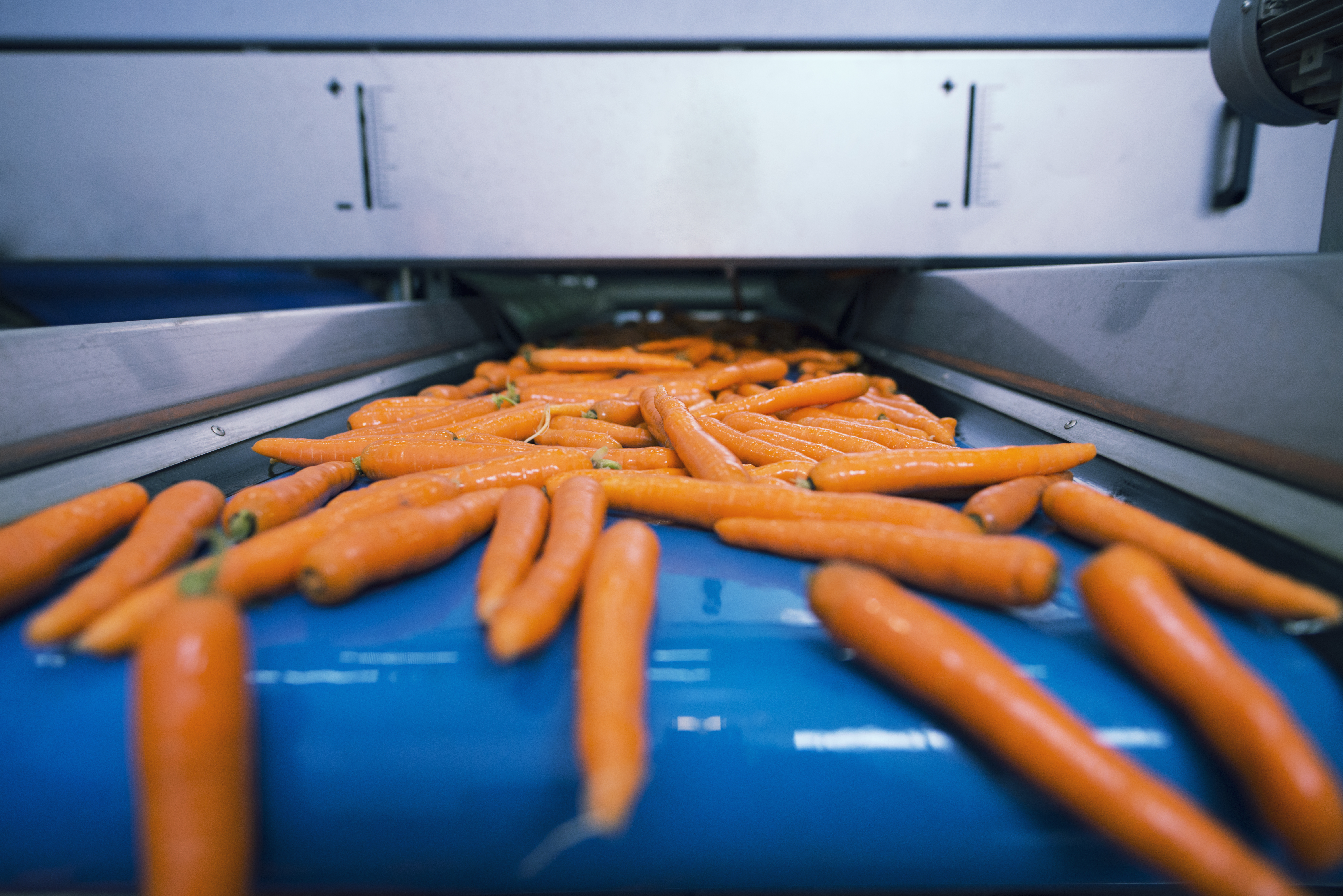 Food processing facility